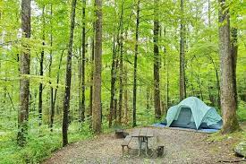However, due to the remote location, it is not busy most of the time. Cosby Campground Pics Things To Do Nearby In Tn Smoky Mountains Smokies Travel Blog Flashpacking America