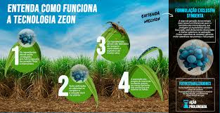 Inseticida Engeo® Pleno S (cana) | Portal Syngenta