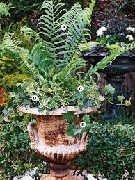 Check spelling or type a new query. 36 Container Garden Recipes For A Stunning Display Container Gardening Garden Containers Plants