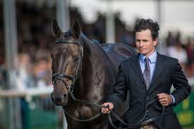 Check spelling or type a new query. Classic Eventing Nation Eventing Nation Three Day Eventing News Results Videos And Commentary