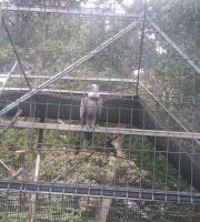 Situl web al gradinii zoologice din tg. La Gradina Zoo Targu Mures Aktuelle 2021 Lohnt Es Sich Mit Fotos