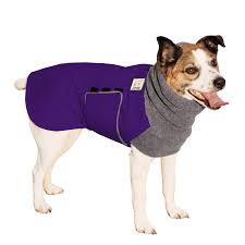 Pin On Jack Russell Terrier Apparel