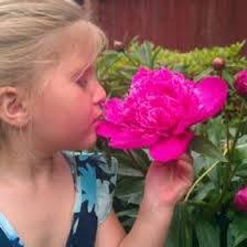 Monette Anderson's Instagram, Twitter & Facebook