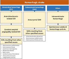 Image result for Hemorrhage Classification