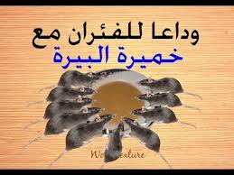 أفضل طريقة لقتل الفئران Youtube