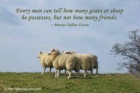 'a lion doesn't concern itself with the opinion of sheep.', mahatma gandhi: Quotes About Sheep Quotesgram