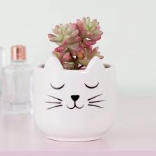 18554 3d models found related to cactus cat planter. Cat Kitty Face Planter Pot For Cactus Succulents Or Air Etsy Cactus Plant Pots Small Potted Plants Face Planters