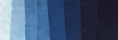 The females of each species are slightly duller in color than their male counterparts. Indigo Natural Dyes