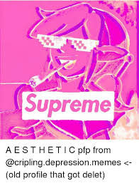 Supreme A E S T H E T I C Pfp From Old Profile That Got Delet Meme On Me Me They send memes back, and the time goes by a little faster. supreme a e s t h e t i c pfp from