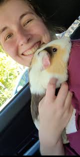 Everything Pets In SCV (The Real Original One)