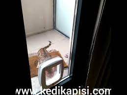 kedi kapisi kopek kapisi evcil hayvan gecis kapilari montaj servisi youtube