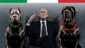 Cane corso is an ancient italian mastiff. The 10 Italian Dog Breeds Youtube