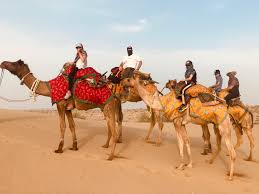 It's not simply the vulva, but an obvious frontal wedgie that happens when fabric gets pulled into the outer labia. Indian Camel Safari A Kid S Perspective 5 Lost Together