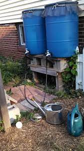 When the rain barrel is full, the diverter sends excess water through your downspout, automatically preventing any. Rain Barrels And Soaker Hoses Angie And Martin S Side Yard Urban Farm