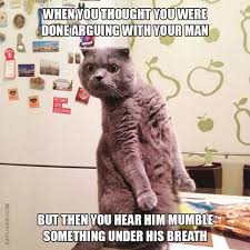 Think of how many memes wouldn't have even been born without these pictures. Cat Memes So Funny We Could Just Cry Always Pets