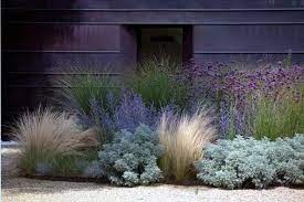 pin by david sanfacon on landscape showroom xeriscape front yard mediterranean garden design modern landscaping