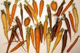 Check spelling or type a new query. List Of Root Vegetables Wikiwand
