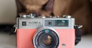 Pembe Fotograf Makineleri Fotografcilik Ve Antikalar