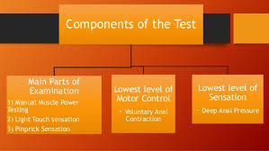 neurological assessment for asia chart