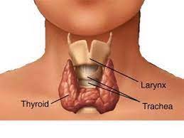Want to discover art related to bimari? Thyroid Ke Lakshan In Hindi Youtube