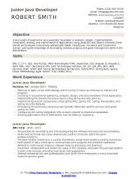 Junior Java Developer Resume Samples Qwikresume
