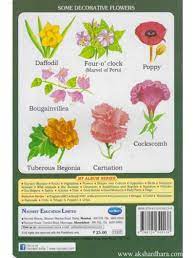 Therefore, it is quite handy if you know tamil names of flowers with their corresponding english names. Flower All Flowers Name In Marathi With Pictures