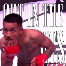 Joshua Van Ufc Fight