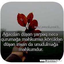 Check spelling or type a new query. Status Sekilleri Yukle Sevmek Gozeldir Senisevirem Profil Sekilleri Sevgi Sekilleri Maraqli Sekiller