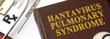 Hantavirus disease is caused by several different strains of hantaviruses. Hantavirus Is One Illness You Don T Need To Worry About Right Now As Long As You Avoid Contact With Rodents Marketwatch