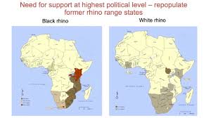Altadefinizione101 · aggiornato il august 24, 2020 · pubblicato su august 24, 2020. Rhino Conservation Forum Abcg