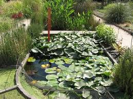 Gartenreise Gartenliteratur Und Rosen Blog Paris Jardin Des Plantes Garten Parks Paris