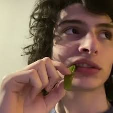 A native of vancouver, british columbia, actor finn wolfhard stars as mike wheeler in the critically acclaimed netflix original series stranger things. the hit series has received various accolades, including a screen actors guild (sag) award for outstanding performance by an ensemble in a. Finn Wolfhard Pack Explore Tumblr Posts And Blogs Tumgir