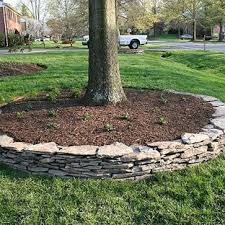 Leave her speechless with a three stone engagement ring representing your past, present and future. Tree Rings Lanedscaping Ideas Photos Houzz