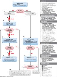 2018 American Heart Association Focused Update On Pediatric