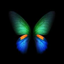 Wallpaper was all the rage in decorating years ago but now that the trends have changed people are left finding the best ways to remove it. Download Samsung Galaxy Fold Wallpaper Sammobile