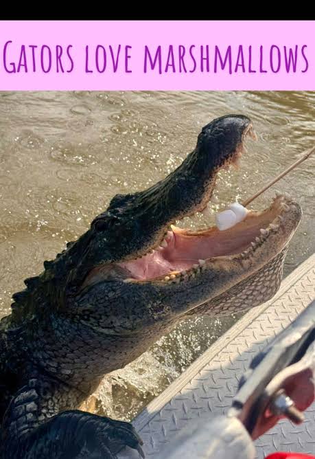 [Image: images?q=tbn:ANd9GcQWzvbS2aNf1UIGFzQMwR3...K7kvQ&s=10]
