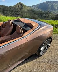 Image result for Copper Chestnut 2012 Aston Martin