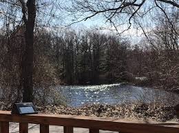 Norfolk MA Real Estate & Homes under $200,000