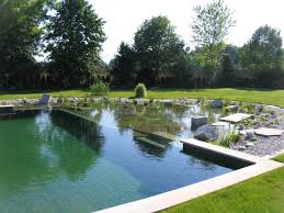 Wie Viel Darf Ein Schwimmteich Kosten Diy Pooldesign Zenideen Schwimmteich Oberirdische Pools Teich