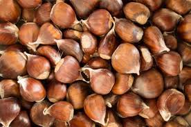 Esskastanien Maronen Einfach Zubereiten Rezept Frag Mutti Rezept Esskastanien Kastanien Rezept Maronen