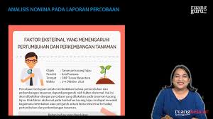 Hewan ini sangat unik, karena ia memiliki kemampuan dalam terbang dan mencari makan pada malam hari. Cermati Teks Berikut Kelelawar Merupakan Mamali