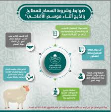 أمانة المدينة المنورة تسمح للمطابخ بالذبح خلال أيام عيد الأضحى صحيفة صراحة الالكترونية