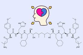 Ενδορφίνες: Τα φυσικά ενδογενή αναλγητικά του οργανισμού μας | OffLine Post