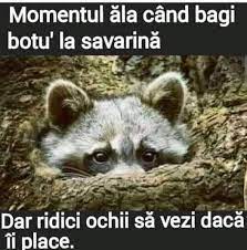 Check spelling or type a new query. Pagina Mea Facebook