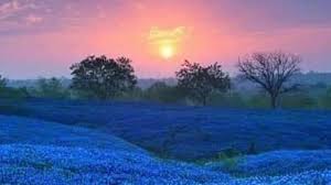 Dolores Best-Proctor Obituary (1926