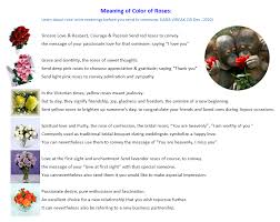 Meaning Of Color Of Rose Color Meanings Rose Color Meanings Roses Are Red Violets Are Blue