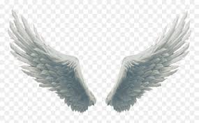 Download option share option save option note : Big Beautiful White Fluffy Wings Angelwings Angel Danish Zehen Photo Background Hd Png Download Vhv