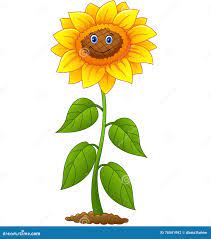 动画片微笑的向日葵向量例证. 插画包括有可笑, 向量, 字符, 滑稽, 空白, 五颜六色, 庭院, 愉快- 78541992