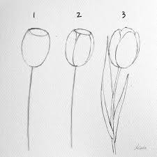 Here is a list of 40 easy drawing ideas for beginners: Art Sketches Step By Step Artist Beautiful Draw Flowers Korean Step Tutorials Uploads Easy Flower Drawings Art Drawings Simple Pencil Art Drawings