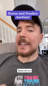 #stitch with @mrbeast Horse and Donkey! #GEICOLipSync #horse #horselover  #horsesoftiktok #donkey #donkeysoftiktok #foryou #foryoupage #fypシ #fyp